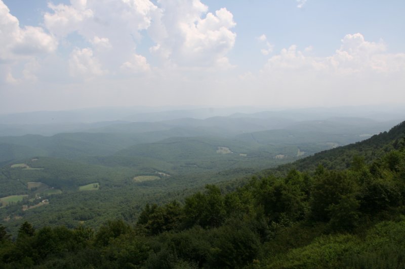 img_8009.jpg