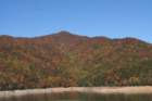 fallcolors_small.jpg