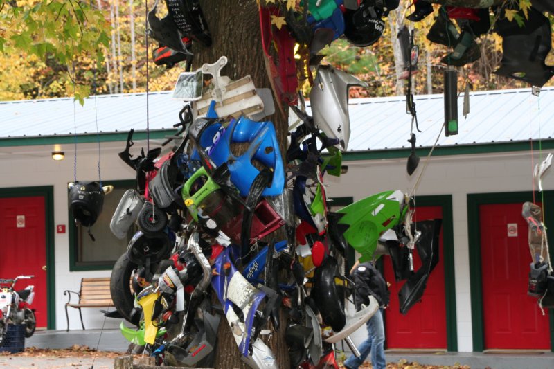 treeofshame2.jpg