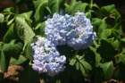 img_3664_small.jpg