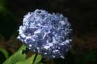 img_3665_small.jpg