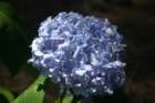 img_3666_small.jpg